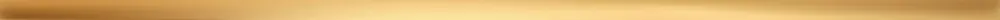 Steel gold 4 listwa scienna - obkládačka listela 1,5x74,8 zlatá (6004782) Superprijs