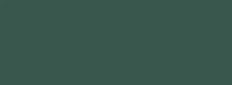 Weekendaanbieding PS-Fashion green - obkládačka rektifikovaná 32,8x89,8 zelená (6004980)