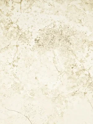 Alabaster Shine mat - dlaždice rektifikovaná 59,8x59,8 béžová (6004958) Meest Verkocht