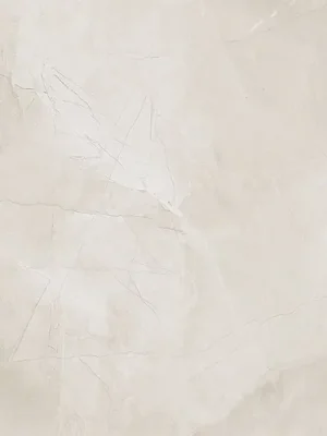 Časově Omezené Harmonic white pol - dlaždice rektifikovaná 59,8x119,8 bílá (6005083)