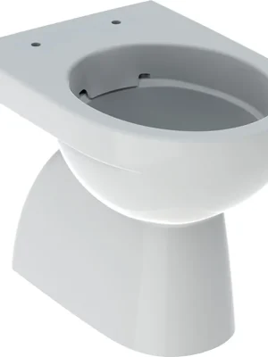 Exclusieve Aanbieding Stojící WC Geberit Selnova s hlubokým splachováním, svislý odpad, Rimfree, bez WC sedátka (500.399.01.1)