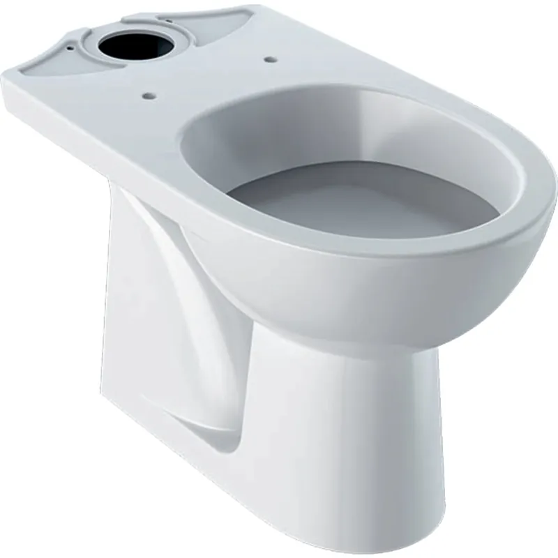 Kombi WC Geberit Selnova s hlubokým splachováním, svislý odpad, bez nádržky a WC sedátka (500.281.01.1) Víkendová Akce