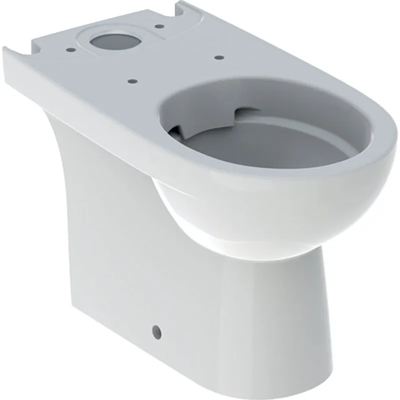 Goedkoop Kombi WC Geberit Selnova s hlubokým splachováním, vario odpad, Rimfree, bez nádržky a WC sedátka (500.488.01.1)