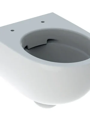 Závěsné WC Geberit Selnova Compact s hlubokým splachováním, zkrácené, Rimfree, bez WC sedátka (500.377.01.2) Nu Kopen
