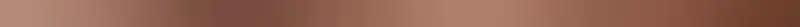 Bestel Nu Steel copper 5 pol - obkládačka listela 2x59,8 (6004415)