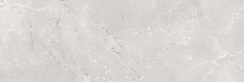 Braga grey - obkládačka rektifikovaná 25x75 šedá lesk (160716) Meest Verkocht