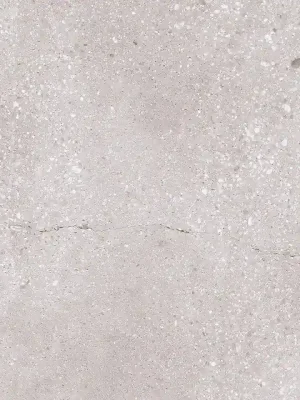 Bestel Nu Geotec GT12 struktura - dlaždice rektifikovaná 59,7x59,7 šedá matná (161212)
