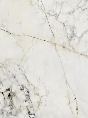 Flitsaanbieding Balance Stone pol - dlaždice rektifikovaná 59,8x59,8 bílá lesklá (6005206)