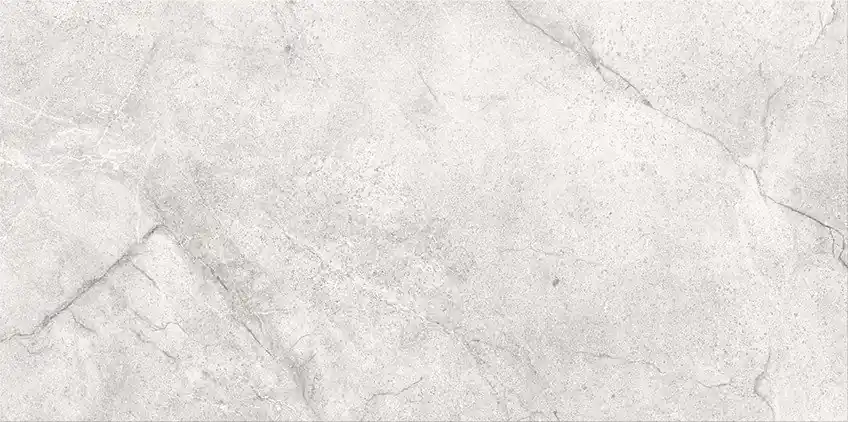 Arcos light grey glossy - obkládačka 29,8x59,8 šedá (NT1287-001-1) Hete Deal