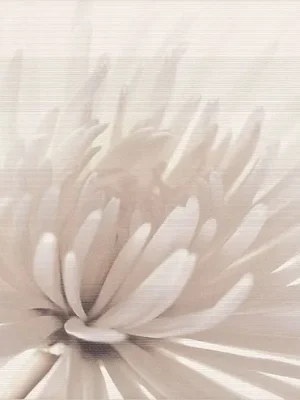 Laatste Versie Avangarde white inserto flower - obkládačka inzerto 29,7x60 (OD352-001)