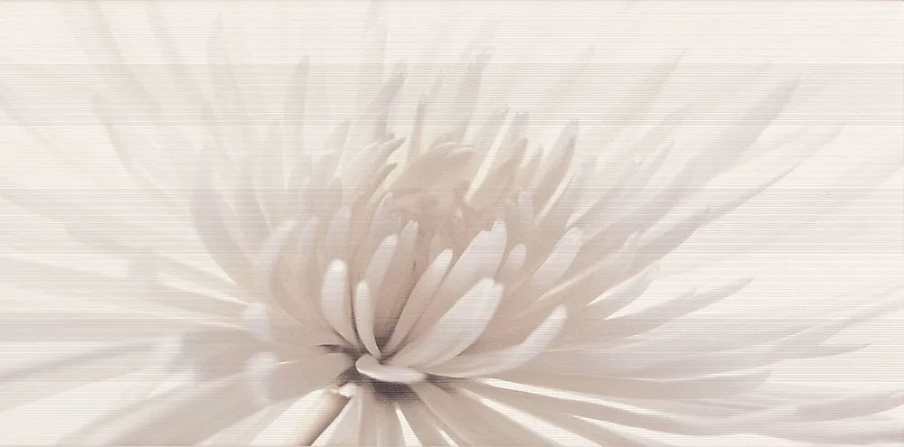Laatste Versie Avangarde white inserto flower - obkládačka inzerto 29,7x60 (OD352-001)