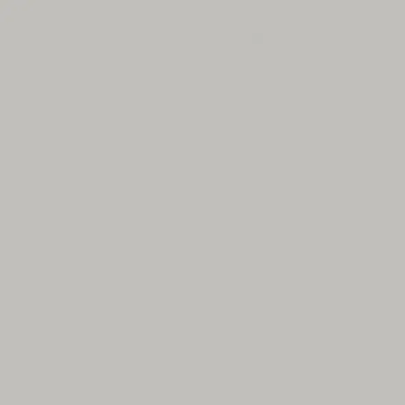 Taurus Color (03 Light Grey) - dlaždice 30x30 světle šedá, R10 B, tl. 8 mm (TAA34003) Gecertificeerd