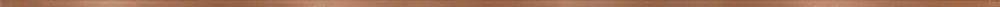 Metal Copper Border Matt - obkládačka listela 1x119,8 (WD929-018) Korting