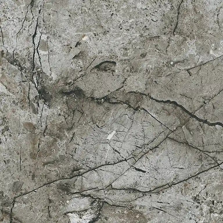 Essential Grey Polished Rect - dlaždice rektifikovaná 59,8x59,8 šedá (NT1058-039-1) Favoriet