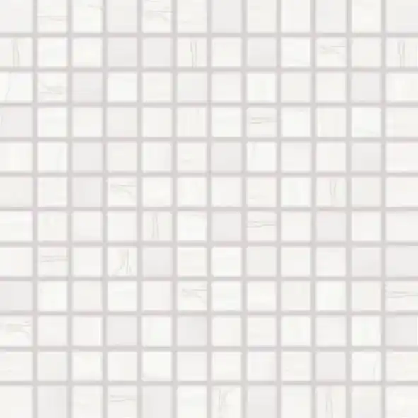 Boa - obkládačka mozaika 2,5x2,5 bílá, tl. 8 mm (WDM0U525) Veilige Betaling