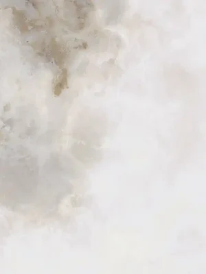 Beperkt Aanbod Onice bianco mat - dlaždice rektifikovaná 59,8x59,8 bílá matná (6005533)