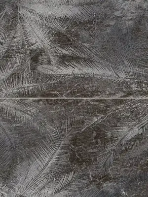 Must-Have Sedona palms dekor scienny - obkládačka inzerto set 65,8x89,8 (6005556)