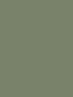 Alleen Vandaag Cielo e Terra verde mat - dlaždice rektifikovaná 119,8x119,8 zelená (6005987)