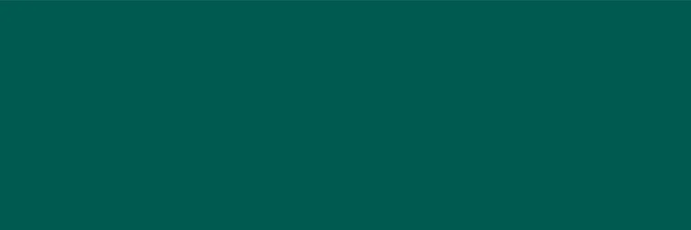 Deep Green Rett. - obkládačka rektifikovaná 30x90 zelená mat (164629) Beste Prijs