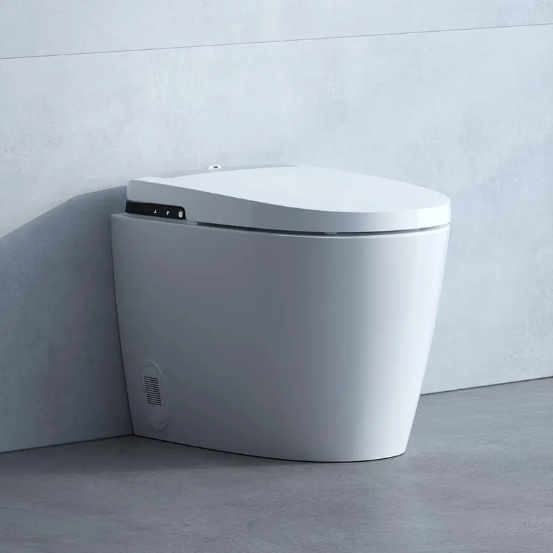 Cleanet Alvia - stojící klozet rimless s bidetovací funkcí, včetně sedátka, kabelový přívod (H8231604000001) Rechtstreeks Van De Fabrikant