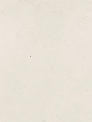 Beperkt Aanbod Limestone - dlaždice rektifikovaná 59,8x59,8 slonová kost lesklá, tl. 9 mm (DAL62800)