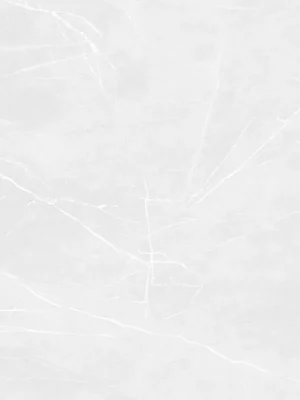 Touch Frost - dlaždice rektifikovaná 119,8x119,8 světle šedá (DAK92902) Populair