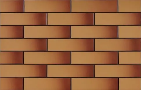 Meest Verkocht Miodowa glazed - fasádní obklad 6,5x24,5 béžová hladká (103122)