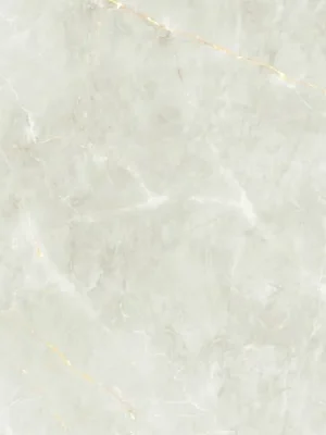Shinestone white mat - dlaždice rektifikovaná 59,8x119,8 bílá matná (6005925) Snelle Levering