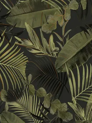 Laatste Kans Beauty Garden 4 dekor scienny - obkládačka inzerto 59,8x119,8 černá (6005881)