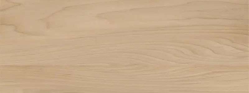 Dagaanbieding Pure Wood beige - obkládačka rektifikovaná 32,8x89,8 béžová (6006253)