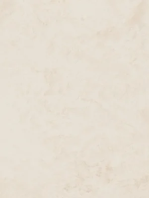 Mild Clay ivory str - dlaždice rektifikovaná 59,8x59,8 krémová (6006437) Premium