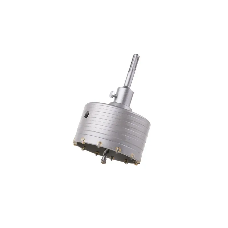 Exclusieve Aanbieding Korunka vykružovací FESTA SK 100mm SDS+