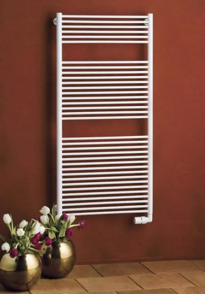 Koupelnový radiátor prohnutý P.M.H. TAIFUN TC2W - Bílý lak, 600 x 790 mm Premium